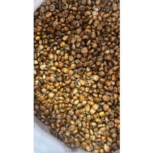 PABITRA LOCAL CORN ROSTED