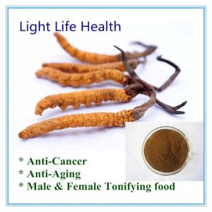 Yarsagumba Tea 500gm