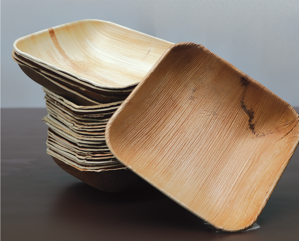 Deep Square Bowl | 17.5 cm Length and Breadth | Areca Nut Palm Leaves | Light weighted | Durable | Bio-degradable | Disposable Plate | Fungus Proof | Portable