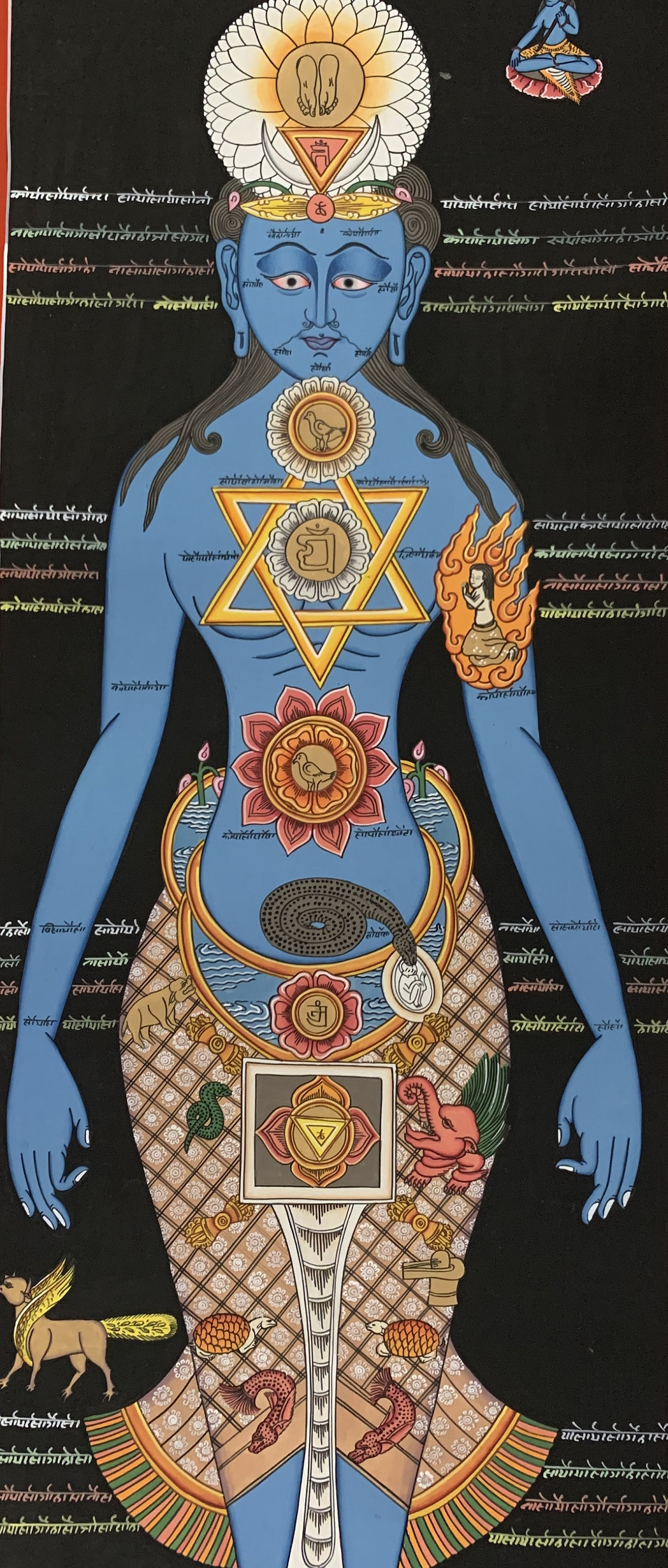 Hand-Painted 7 Chakra Healing Medical Thangka Art on Canvas, 13 x 35 Inches
