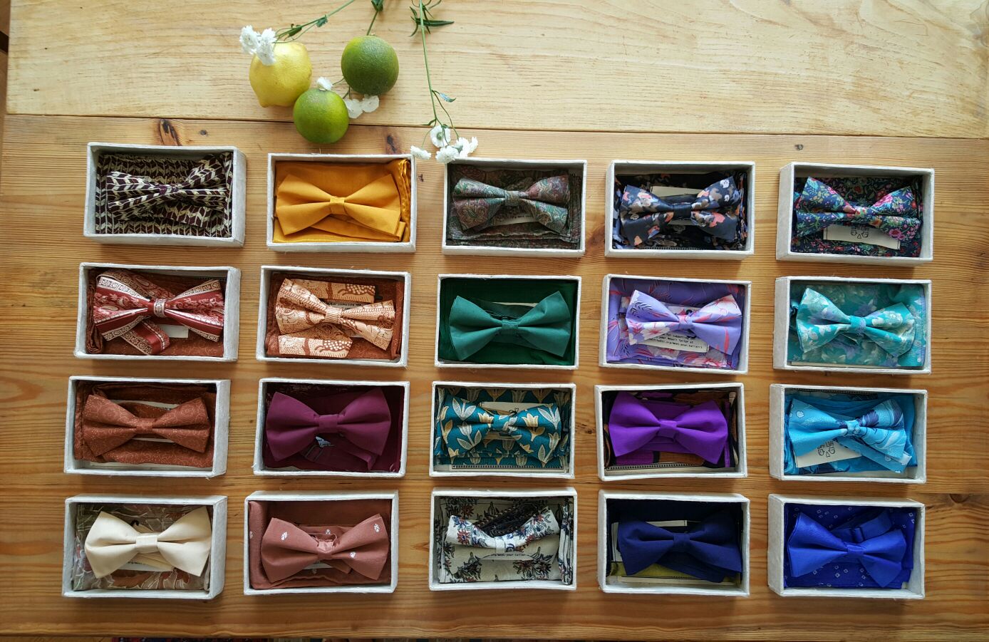 Bow Tie