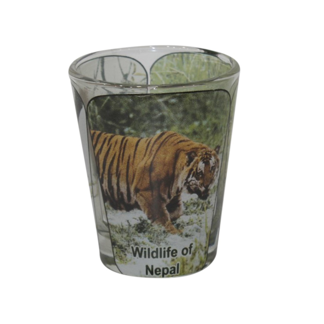 Shot Glass