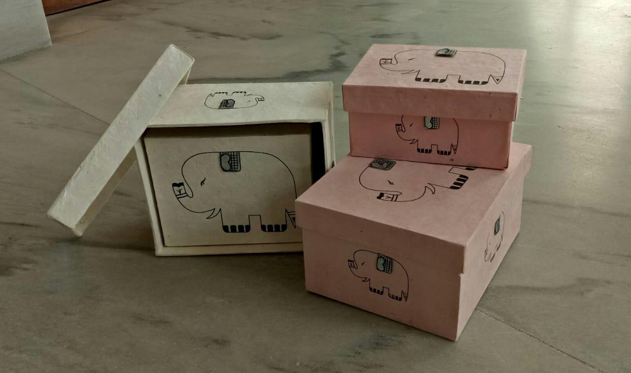 Elephant Print 2 Fitted box