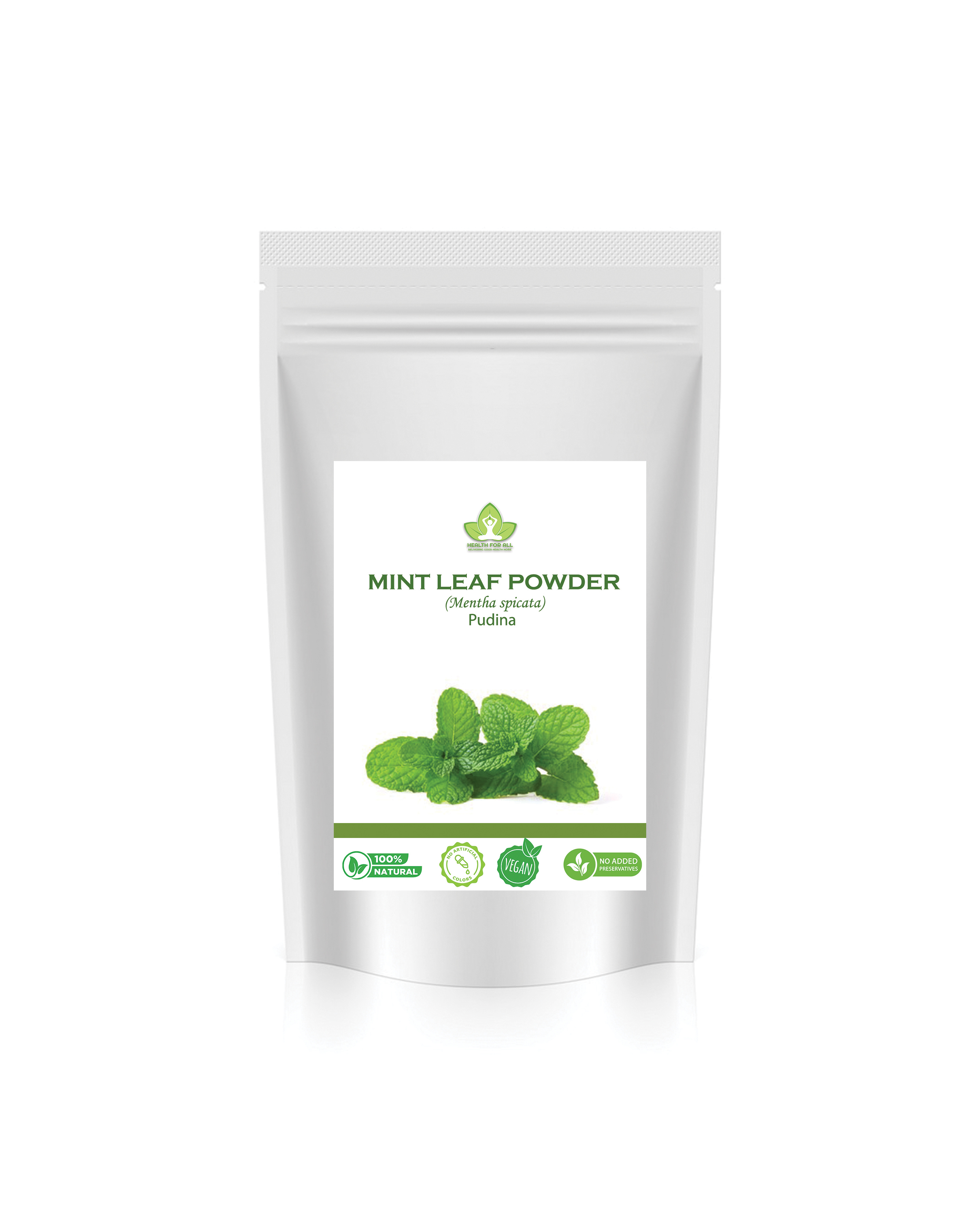 Dried Mint Pudina Powder 1kg
