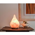 Pink Salt Lamp