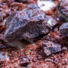 Black Salt - Bire Nun